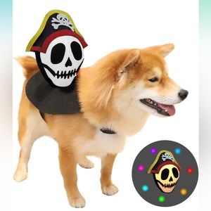 Dog Halloween Pirate LED costume